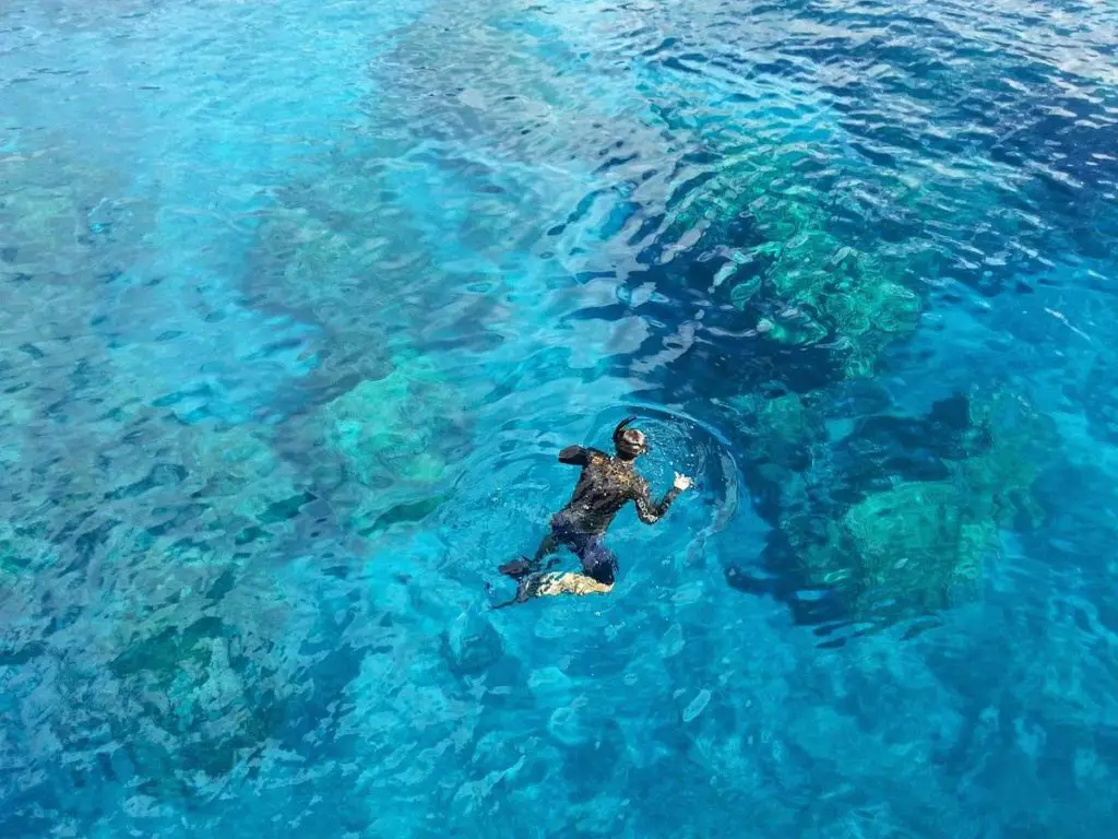 Snorkeling in Madeira